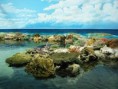 /album/photogallery/outside-view-of-the-reef-jpg/